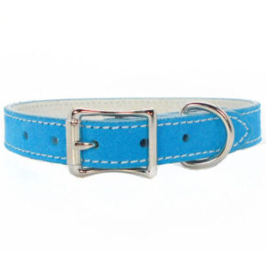 Aqua Suede Leather Collar