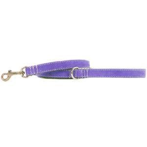 Grape Suede Leather Leash