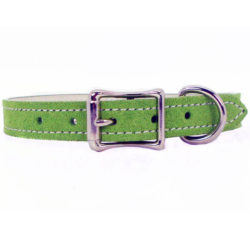 Lively Kiwi Suede Leather Collar
