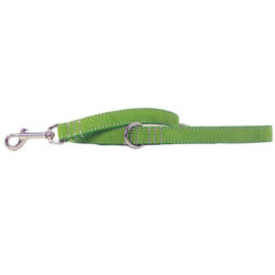 Lively Kiwi Suede Leather Leash